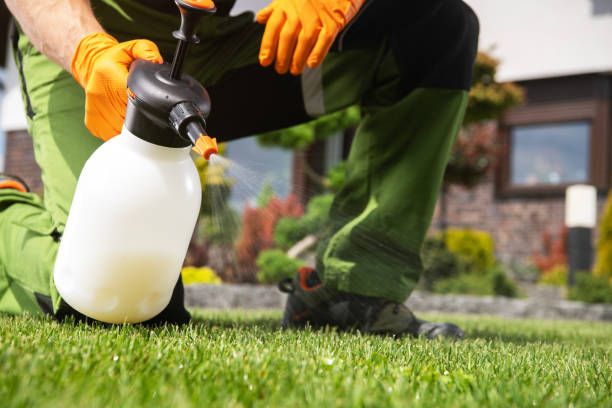 Best Affordable Pest Control Services  in Howey In The Hills, FL