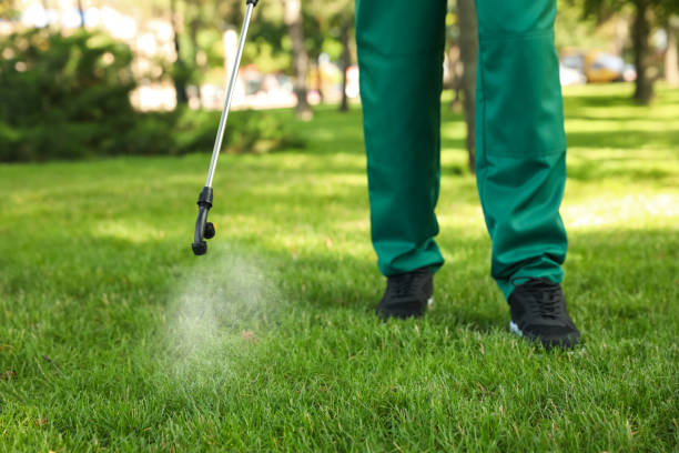 Best Insect Control  in Howey In The Hills, FL