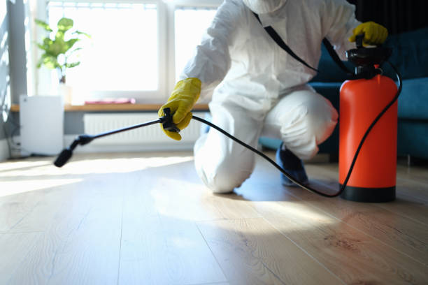 Best Termite Control Services  in Howey In The Hills, FL