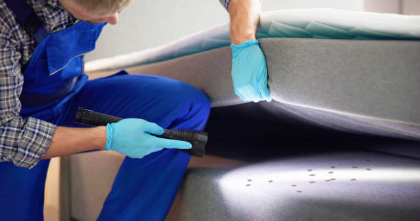 Reliable Howey In The Hills, FL Pest Control Solutions