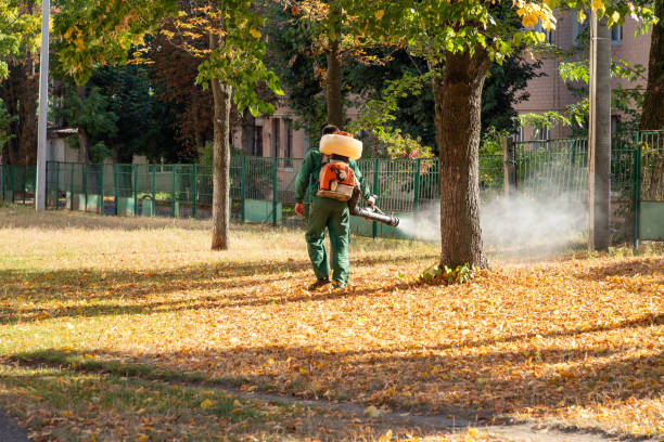 Wasp Removal Services in Howey In The Hills, FL