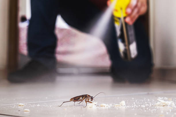 Best Cockroach Control Services  in Howey In The Hills, FL