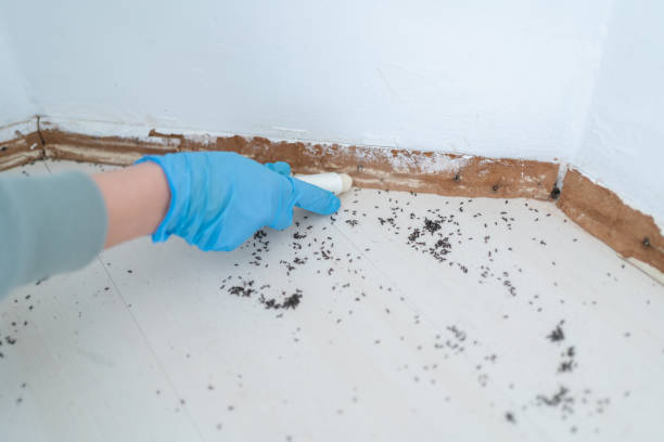 Best Pest Inspection Near Me  in Howey In The Hills, FL