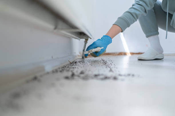 Best Residential Pest Control  in Howey In The Hills, FL